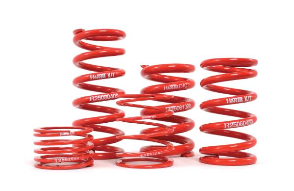 H&R Special Springs LP - H&R Special Springs LP ID Race Springs